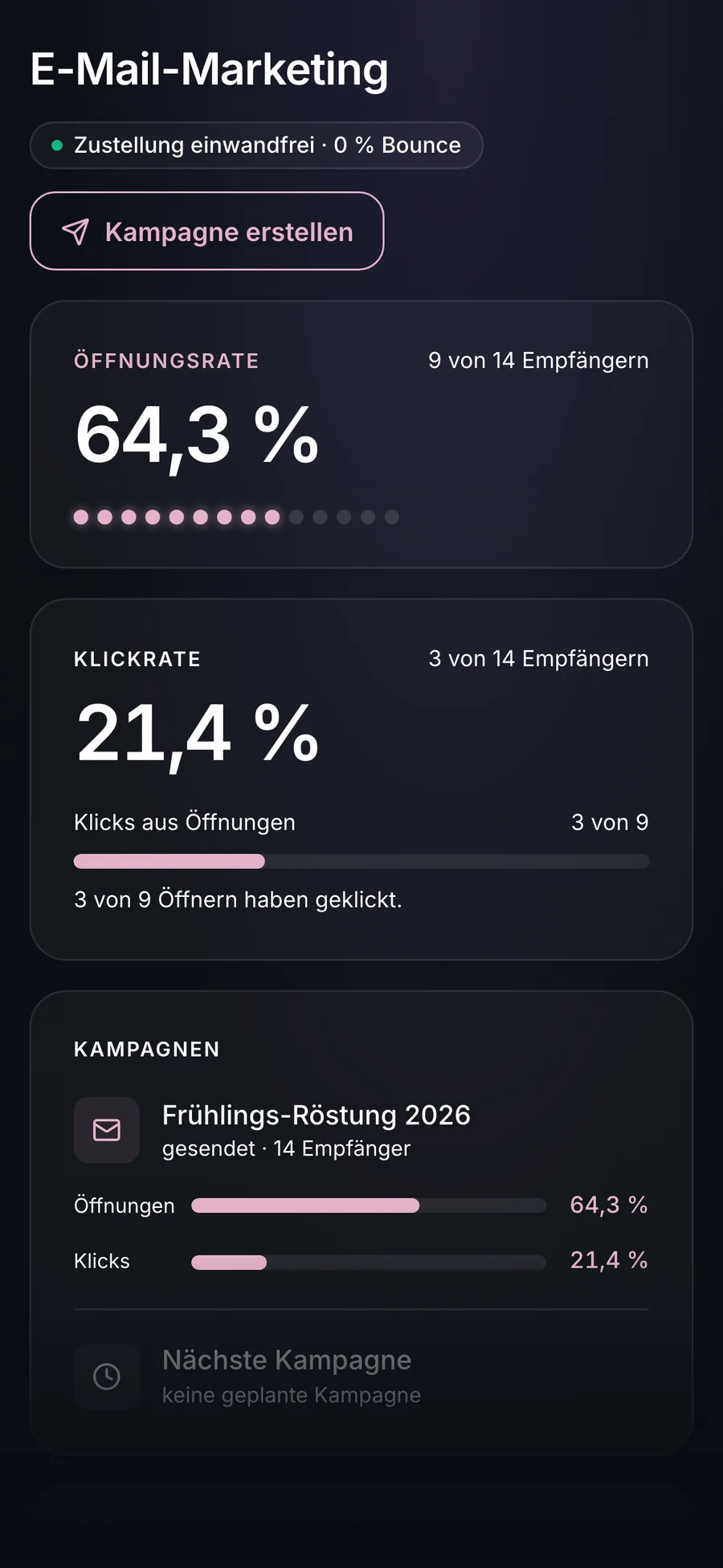 BirdBuild E-Mail-Marketing – Analytics und Kampagnen
